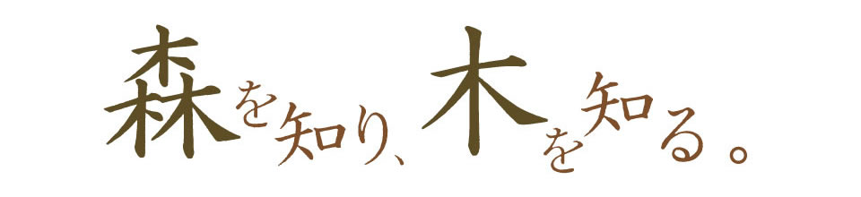 ΤꡢڤΤ롣